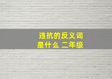 违抗的反义词是什么 二年级